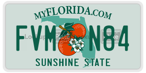 FVMN84  license plate in FL