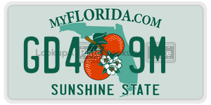 GD49M license plate in Florida