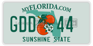 GDD44  license plate in FL