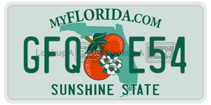 GFQE54 license plate in Florida