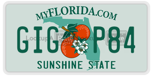 GIGP84 license plate in Florida
