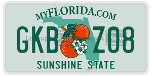 GKBZ08 license plate in Florida