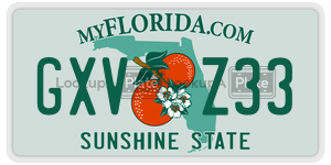 GXVZ33  license plate in FL
