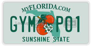 GYMP01  license plate in FL