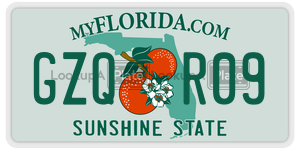 GZQR09 license plate in Florida
