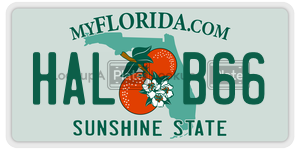 HALB66 license plate in Florida