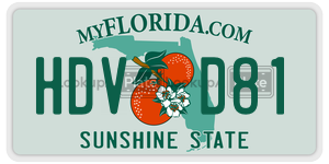 HDVD81 license plate in Florida