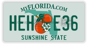 HEHE36  license plate in FL