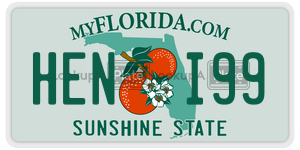 HENI99  license plate in FL