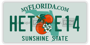 HETE14  license plate in FL