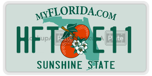 HFTE11 license plate in Florida