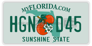 HGND45 license plate in Florida