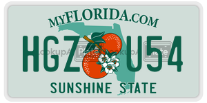 HGZU54 license plate in Florida