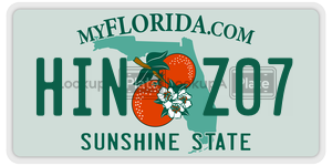 HINZ07  license plate in FL