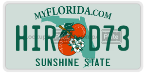HIRD73  license plate in FL