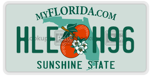 HLEH96  license plate in FL