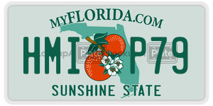HMIP79  license plate in FL