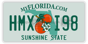 HMXI98  license plate in FL