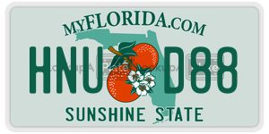 HNUD88  license plate in FL