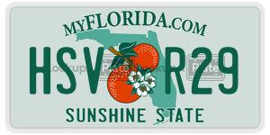 HSVR29  license plate in FL