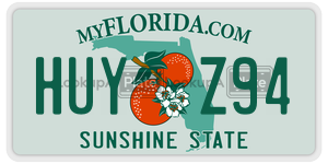 HUYZ94  license plate in FL