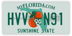HVVN91 license plate in Florida