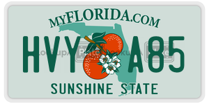 HVYA85 license plate in Florida