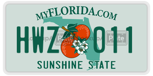 HWZ011  license plate in FL