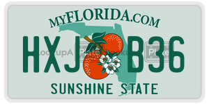 HXJB36  license plate in FL