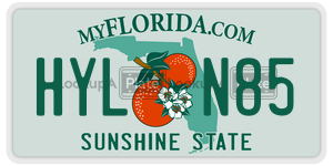 HYLN85  license plate in FL