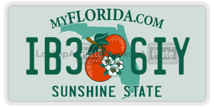 IB36IY license plate in Florida