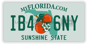 IB46NY license plate in Florida