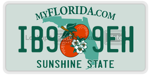 IB99EH  license plate in FL