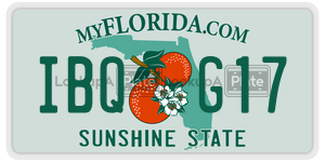 IBQG17  license plate in FL