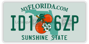 ID16ZP  license plate in FL