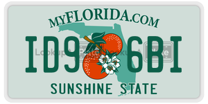 ID96BI license plate in Florida