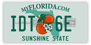 IDT6E license plate in Florida