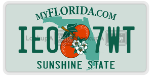 IE07WT license plate in Florida