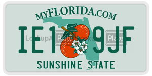 IE19JF  license plate in FL