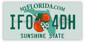 IF04DH  license plate in FL