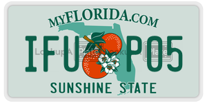IFUP05 license plate in Florida