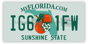 IG61FW  license plate in FL