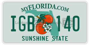 IGB140  license plate in FL