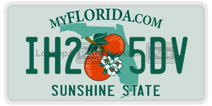 IH25DV license plate in Florida