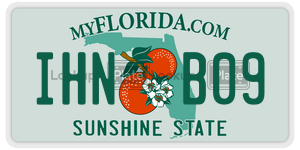 IHNB09 license plate in Florida