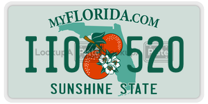 II0520  license plate in FL
