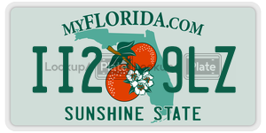 II29LZ  license plate in FL