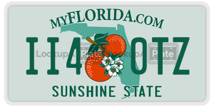 II40TZ  license plate in FL