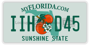 IIHD45  license plate in FL