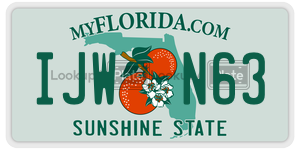 IJWN63 license plate in Florida